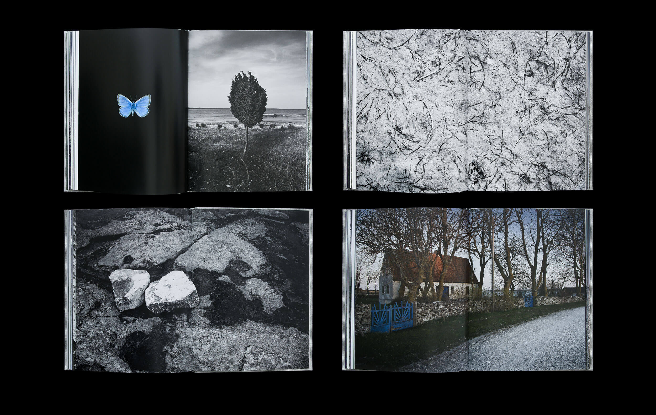 Fårö – Nyanser av grått