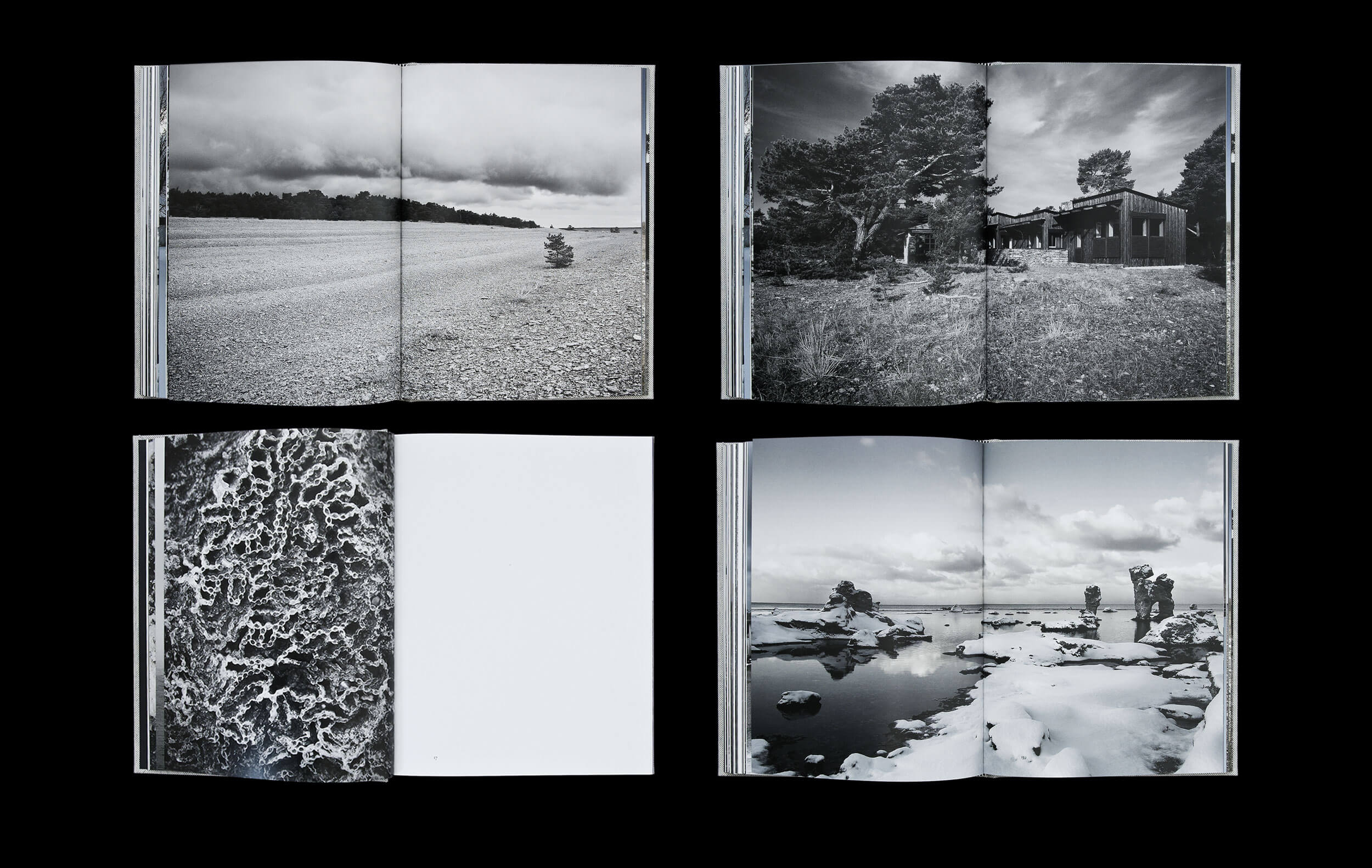 Fårö – Nyanser av grått